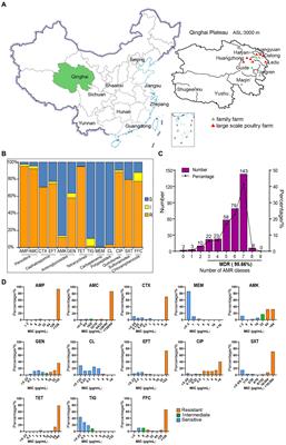 Antimicrobial resistance surveillance of Escherichia coli from chickens in the Qinghai Plateau of China